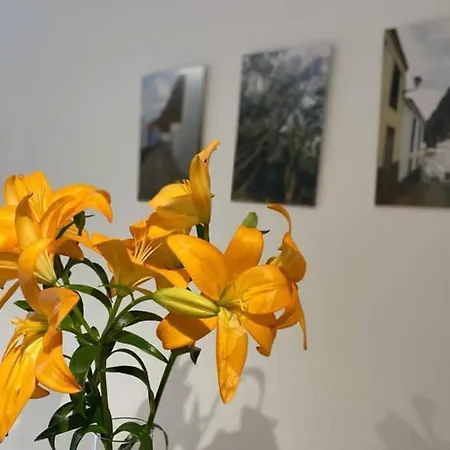 Risco De Zula Apartmán Agulo